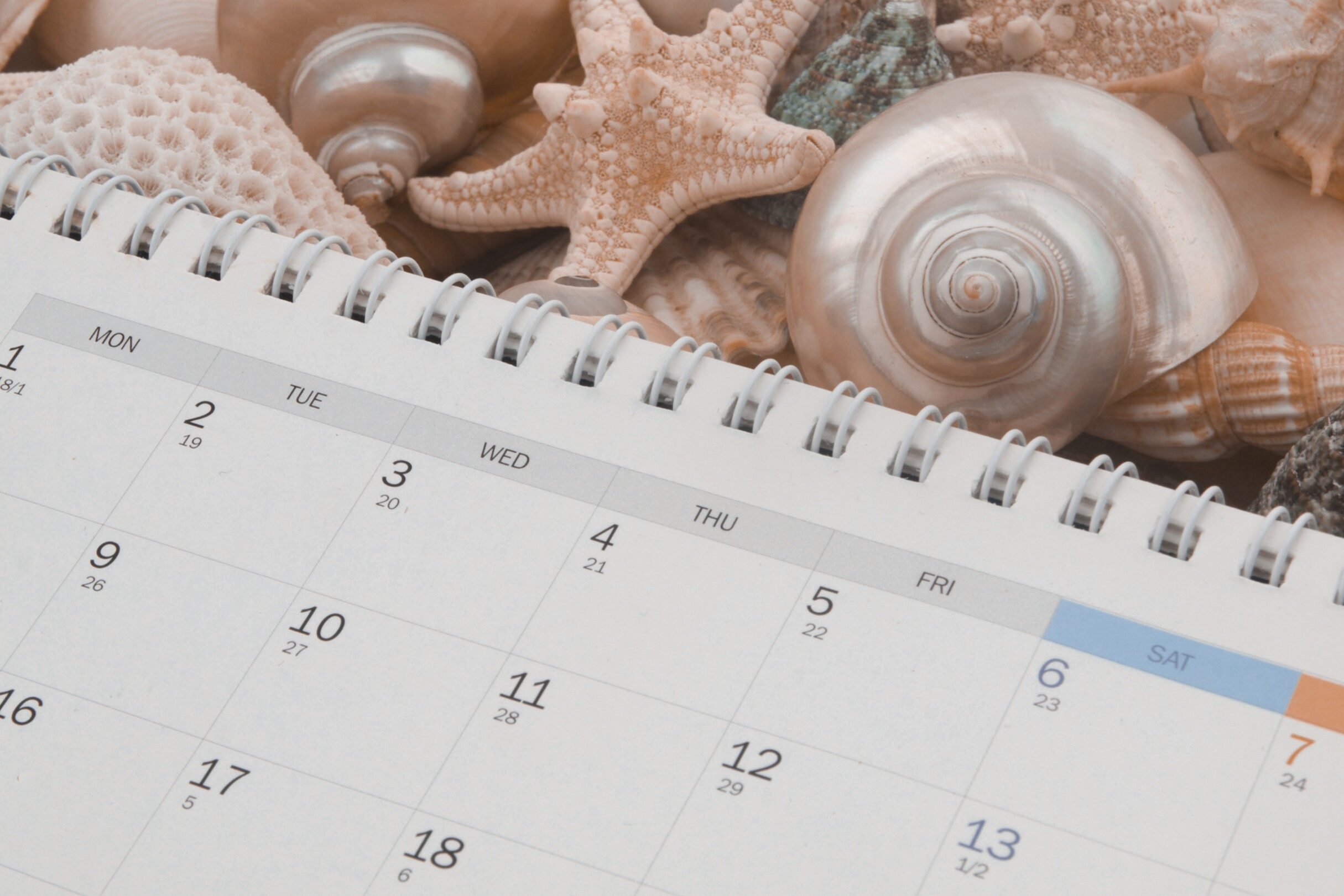 calendar next to some seashells